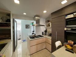 Parc Palais (D21), Condominium #581333731